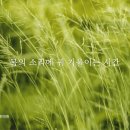 365부평한의원 네이버블로그