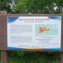 핀크스비오토피아 콘도미니엄 | [제주도] 11년 8월, 3가족 여행기 2부 - 1100고지, 한라산등반, 영실코스, 협재해수욕장