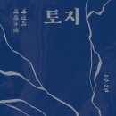 Where the Crawdads Sing | 독서모임 토지 2&amp; Where the crawdads sing (가재가 노래하는 곳) 12월 첫 모임 후기