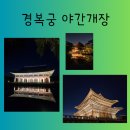 더아름다운환경 | 밤이 더 아름다운 경복궁 야간개장 후기