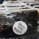 리틀꼬마김밥 구로항동점