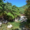 합천읍사무소 | 경남 합천 가볼만한곳 베스트10 여행 명소 추천