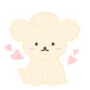 스텔라바디핏 이미지