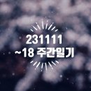 23년 11월 11일~18일 주간일기