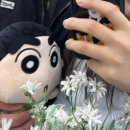 퍼니 인형샵 이미지