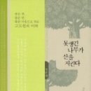 못생긴나무
