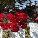 삼화1리 마을회관 이미지