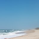 새동해바다 이미지