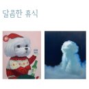 달콤한휴식