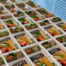 올담김밥 이미지