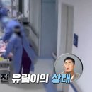 유림-13 이미지