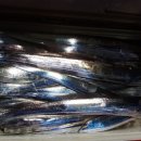 1대물호 이미지