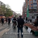 억양이 쎄서 그렇지 싸우는건 아니에요 이미지