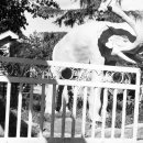 글벗문구사 이미지