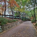 사평약국 이미지