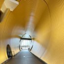 WR(서울특별시 강서구)-[마곡중앙3로]-하-4 | 서울 강서구 마곡 데이트 코스 마곡맛집, 로마옥 평일 런치 솔직 후기