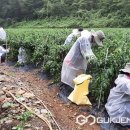 매포읍사무소 이미지