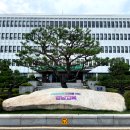 178 노컷뉴스