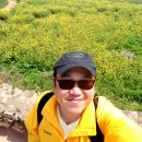 여로민박 이미지