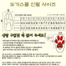 도기스쿨 이미지