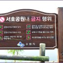 서호공원 이미지