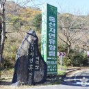 지리산구름정원 티스토리