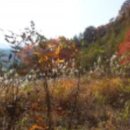 명당부동산중개 이미지