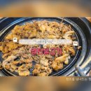 새마을식당영덕강구점