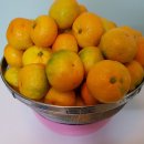 기안농장 이미지