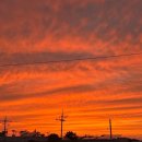 달뷰스테이 | 제주도 DAY 1 &amp; 2 (정육마당, 용담밭담, 애월 한담해변, 팀블로우 카페, 달뷰스테이)