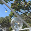 디에스시스템(DS시스템) | ✨수원 디에스컨벤션ㅣ수원 야외예식장 하객 솔직 리뷰 (음식·주차·홀 분위기)