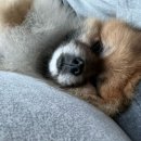 덕평기사식당 | 다사다난했던 4월