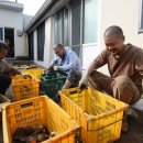 김형표농장 이미지