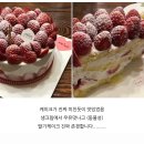 [진주베리어스] 2024 크리스마스 케이크 예약 오픈/ 진주크리스마스케이크/진주성탄절케이크🎄🍓🎅🏻/진주...