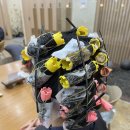 이즈 | 대전 서구 둔산동 미용실 비안이즈 후기, 여자 긴 머리 레이어드 펌