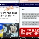 VAMS 이미지