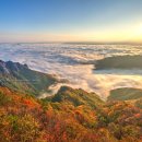 구봉산 Daum카페