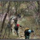 서울 오산연계산행(불수사도북) 45km 이미지