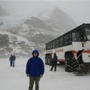 한방베스 이미지