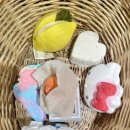 이티(E.T) | 내돈내산) 러쉬 이티(E.T.) 배쓰밤 후기