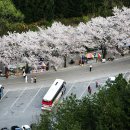 마이산남부관광안내소 이미지