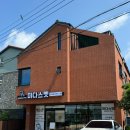 미다스펫 이미지