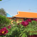 Healing Farm Stay 이미지