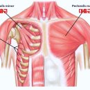 가디언 오브 갤럭시 PT 이미지
