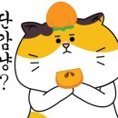 보라약국 - 군포시 삼성로 6 | 보라약국