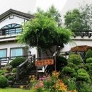 주련골산방펜션 이미지