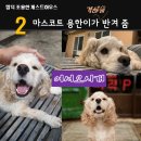 함덕환승정류장 이미지