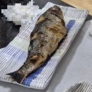 [청주횟집/봉명동맛집/군산활어도매시장]