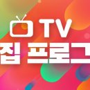 유니스텔라 이미지