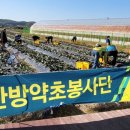 평화농장 이미지